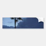 Palm Trees In The Morning Bumper Stickers