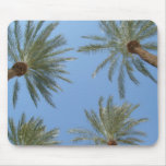 Palm Trees Mousepad