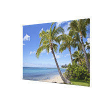 Palm trees on the beach in Hawaii. Stretched Canvas Prints