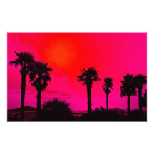 palm trees photo