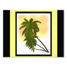 Palm Trees Photo Art