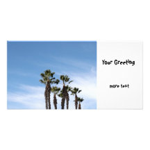 Palm Trees Photo Greeting Card
