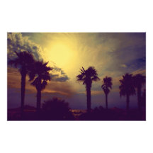 palm trees photo print
