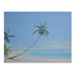 Palm Trees Post Card