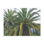Palm Trees Postcard