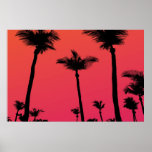 Palm Trees Silhouettes at Sunset Posters