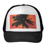 Palm Trees Sunset Silhouettes Hat