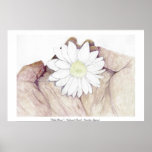 Palmflower - Coloured Pencil - Caroline Tigeress posters