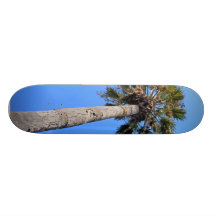 Palmier Skate Board Decks