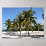 Palmiers et copie de plage posters