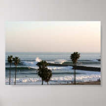 Palms and Waves Posters