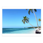 Palms in the sea post cards