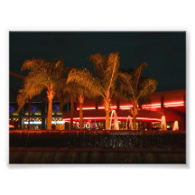 Palms in the Wind - Evening Photo Print