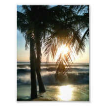 Palms on a Stormy Morning Photo Print