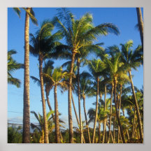 Palms on Beach Trail Poster
