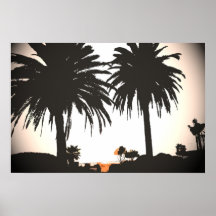 Palms Poster