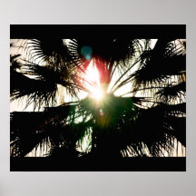 Palms Posters