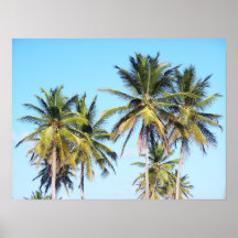 Palms Poster