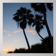 palms sunset posters