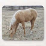 Palomino Baby mousepad