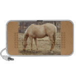 Palomino Doodle Speaker