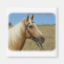 Palomino Horse 9R015D-184 Fridge Magnet