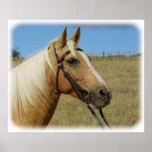 Palomino Horse 9R015D-184 Print