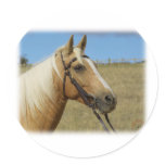 Palomino Horse 9R015D-184 stickers