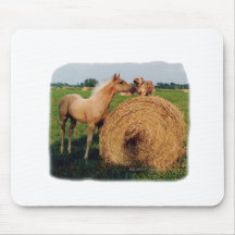 Palomino Horse and Dog Meeting Mousepad