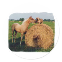 Palomino Horse and Dog Meeting Round Sticker