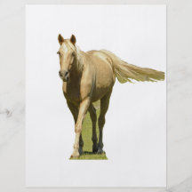 Palomino Horse Flyers