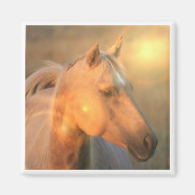 Palomino Horse in Light Square Magnet