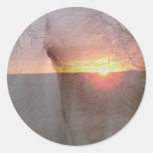 Palomino Horse in Sunrise Round Stickers