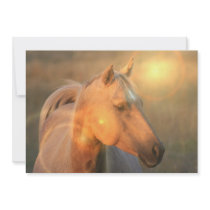 Palomino Horse Invitation