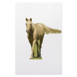 Palomino Horse stationery