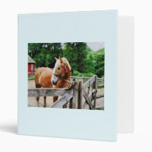 Palomino in Paddock Vinyl Binder