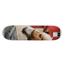 Palomino par la grange rouge plateaux de skate