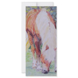 Palomino Princess Rack Cards