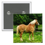 Palomino Walking Away Button