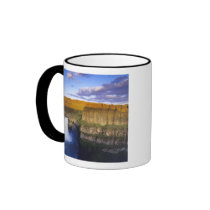 Palouse Falls State Park in Washington Mugs
