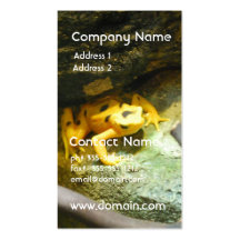 Panamanian Gold Frog Business Card