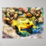 Panamanian Golden Frog Print