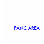 Panc Area t-shirts
