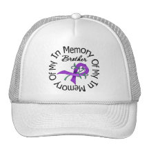 Pancreatic Cancer In Memory of My Brother Mesh Hat