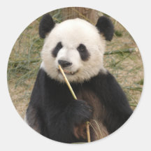 panda106 round sticker
