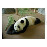 panda119 greeting cards