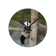 panda122 clocks