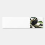Panda and Bamboo Bumper Sticker