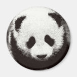 Panda Artwork Magnets