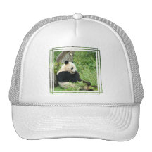 Panda Baseball Cap Hat